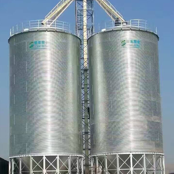 1773192507650096.jpg 2.jpg