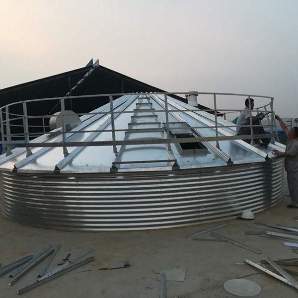 1773192500197672.jpg 1.jpg