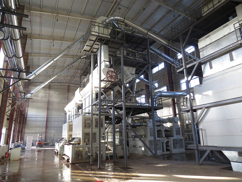 Hạt giống bông sạch loại nghiêng Hạt giống bông sạch loại nghiêng