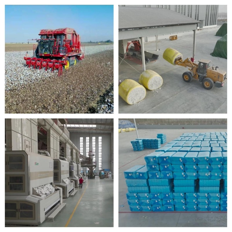 Máy ép kiện bông thủy lực.jpg Máy ép kiện bông thủy lực.jpg