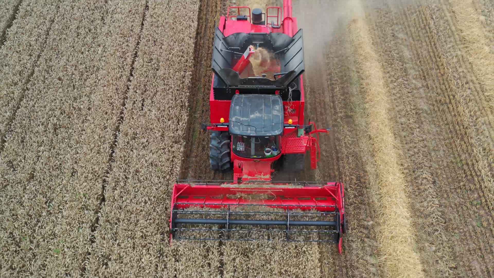 Машина для уборки кукурузы