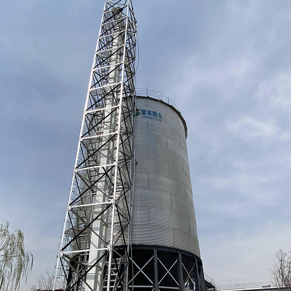 1773192534189244.jpg 4.jpg