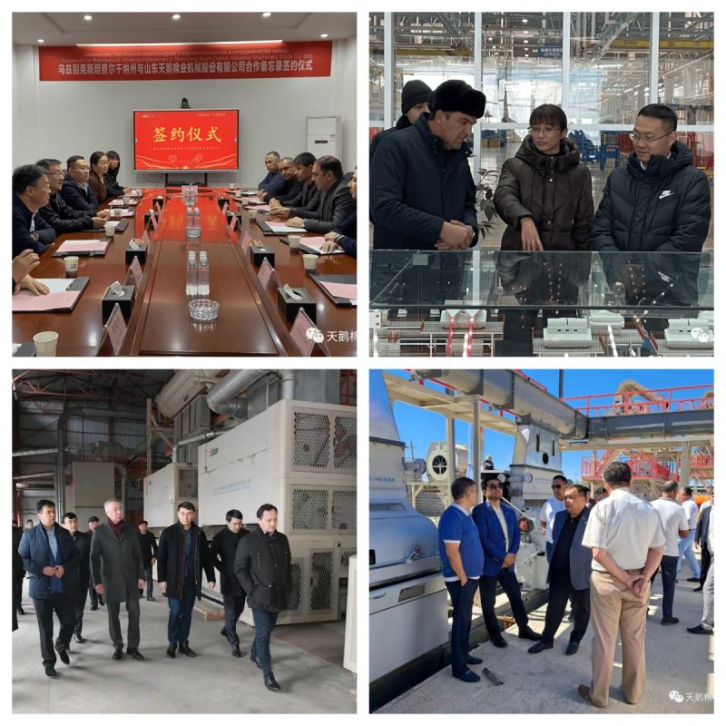 منشار محلج عالي السرعة لآلة حلج القطن type.jpg