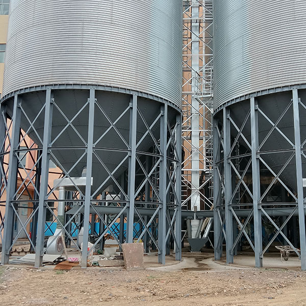 1773192514170343.jpg 3.jpg