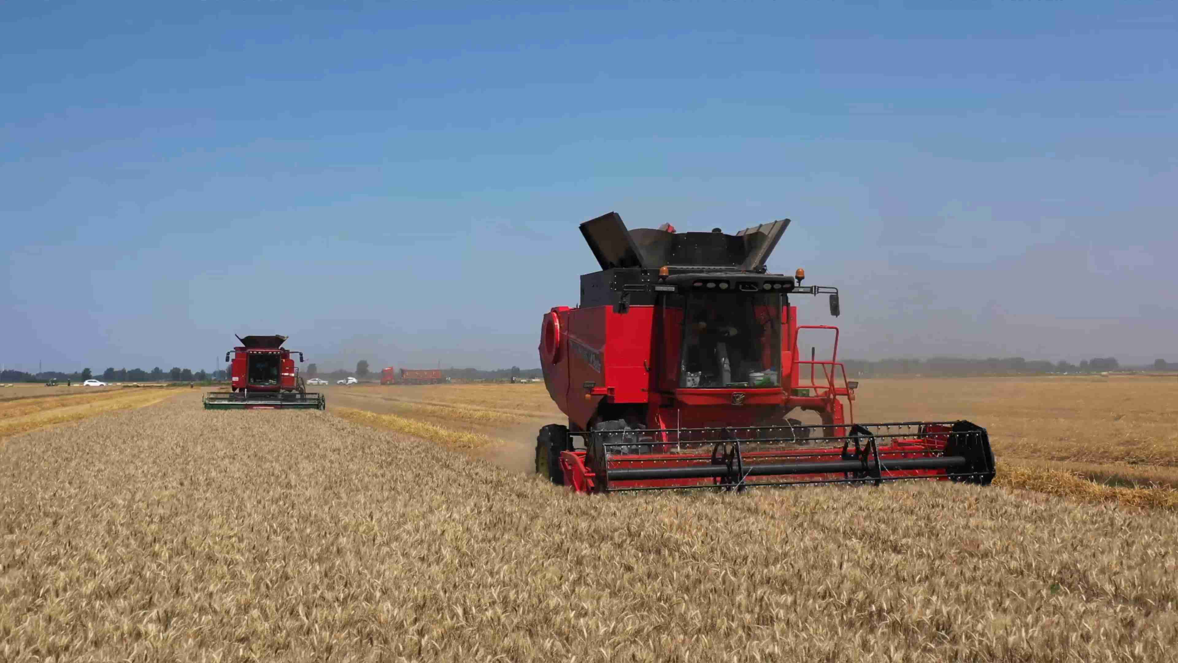 Машина для уборки кукурузы