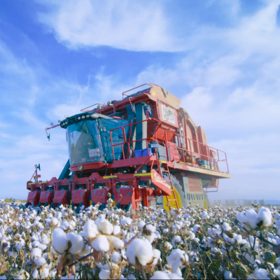Máquina colheitadeira de algodão