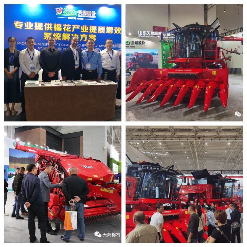 Company Information.jpg Company Information.jpg