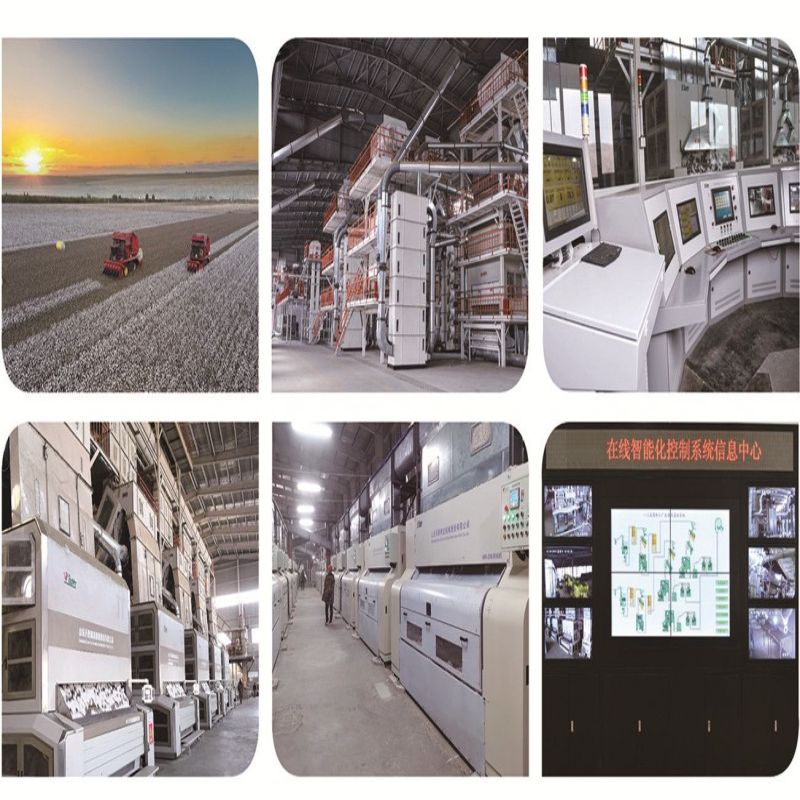 Máquina enfardadeira de fiapos com sistema de prensa de fardos de alta eficiência