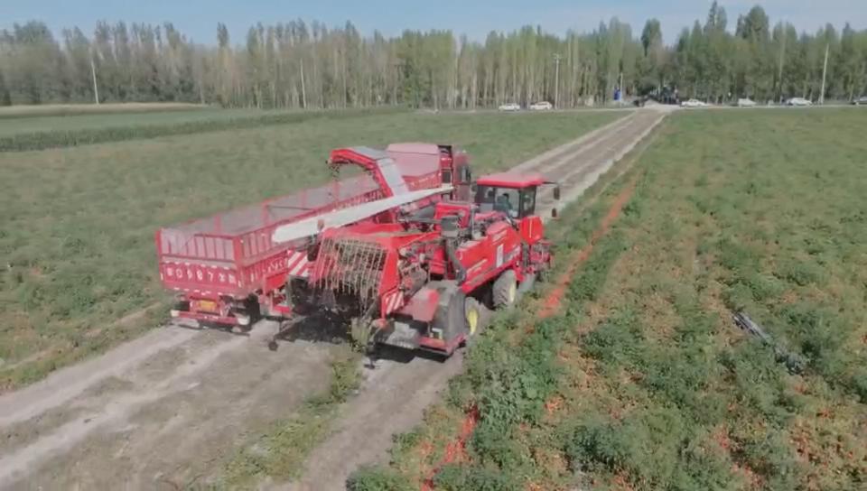 Preço do novo produto da máquina de colheita de tomate