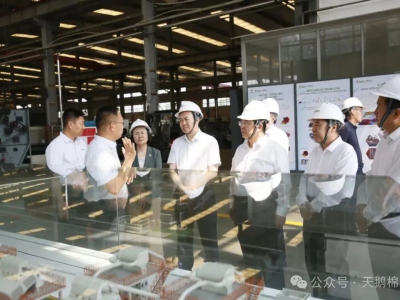 Il Vice Presidente dell'ACFSMC Xu Guanghong Visita Swan Shares per Ricerca