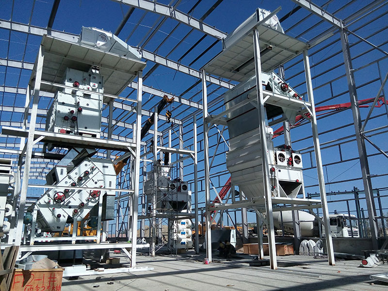 Hạt giống bông sạch loại nghiêng