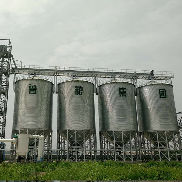 1773192408674612.jpg 3.jpg