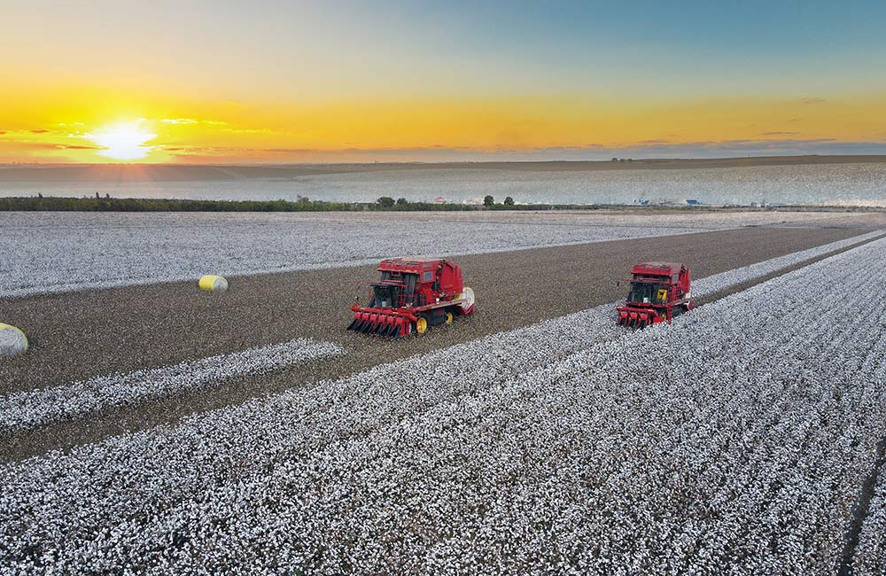 Dreireihiger Baumwollpflücker Dreireihiger Baumwollpflücker