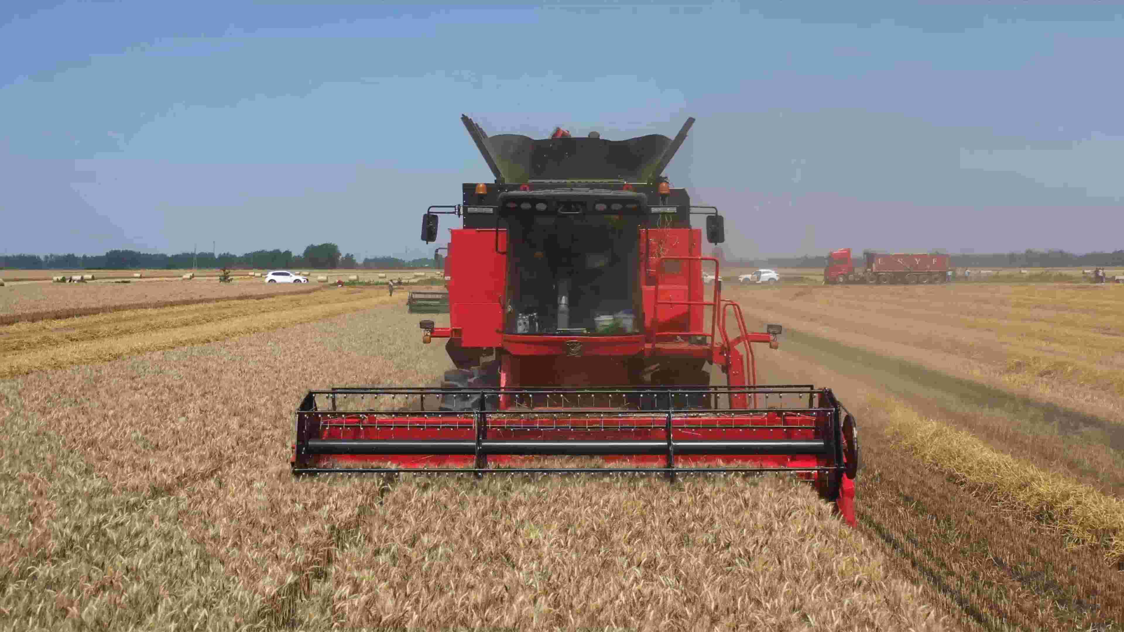 Cotton Gin Equipment