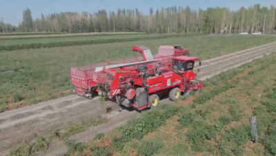 Equipamento agrícola colheitadeira de tomate