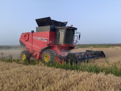 Máy thu hoạch ngũ cốc