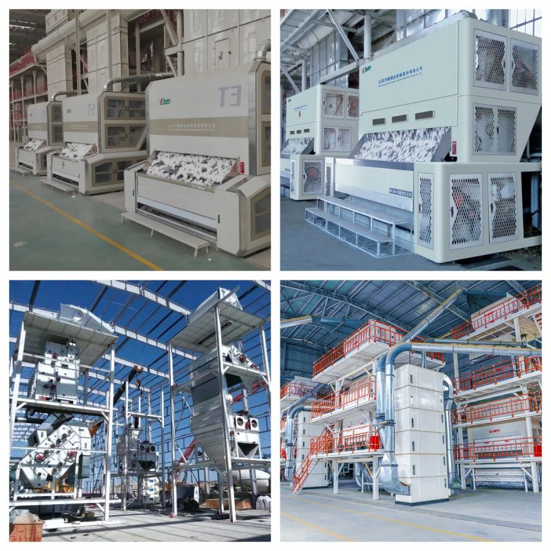 Attrezzatura industriale per la sgranatura del cotone