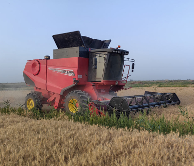 حصادة الحبوب